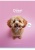 Füzet, tűzött, A4, vonalas, 80 lap, SHKOLYARYK "Daily Dose", vegyes
